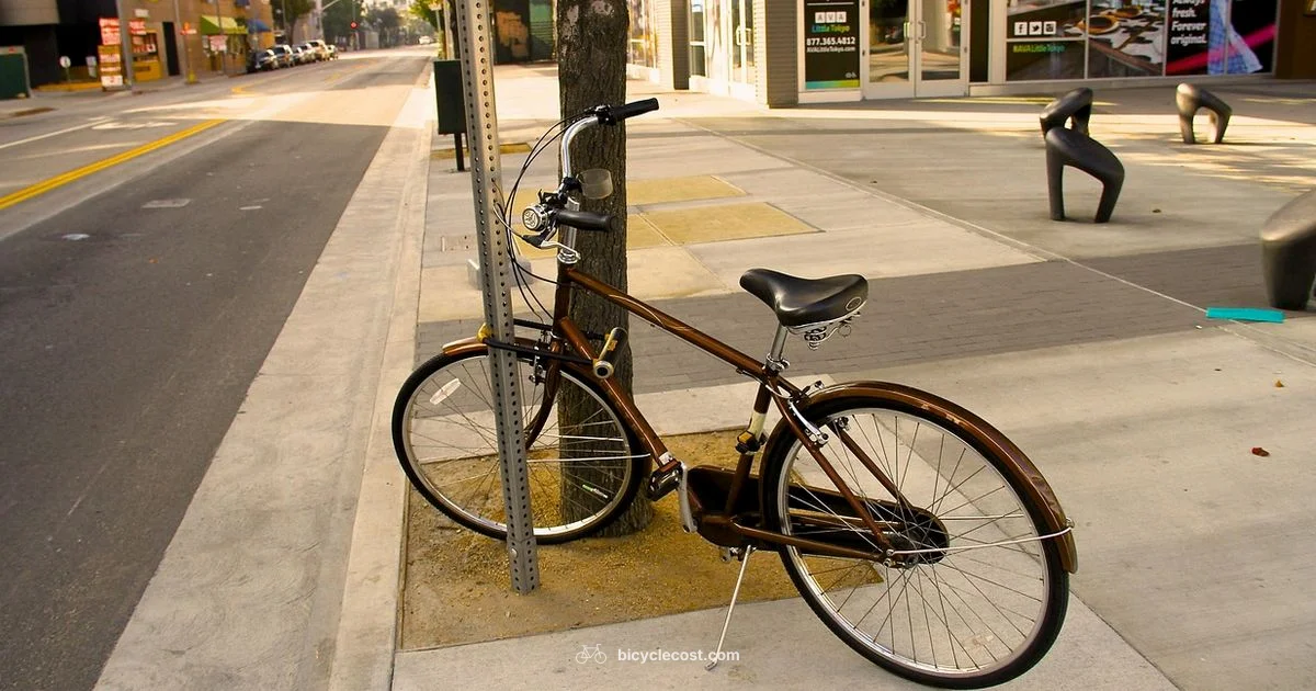 Klunker Bike Basics - BicycleCost