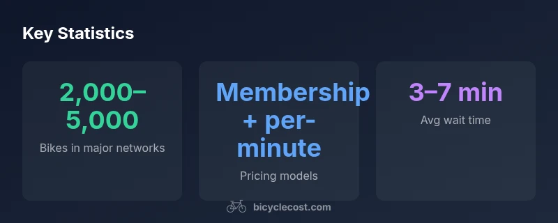 Statistical overview of bike sharing networks and access