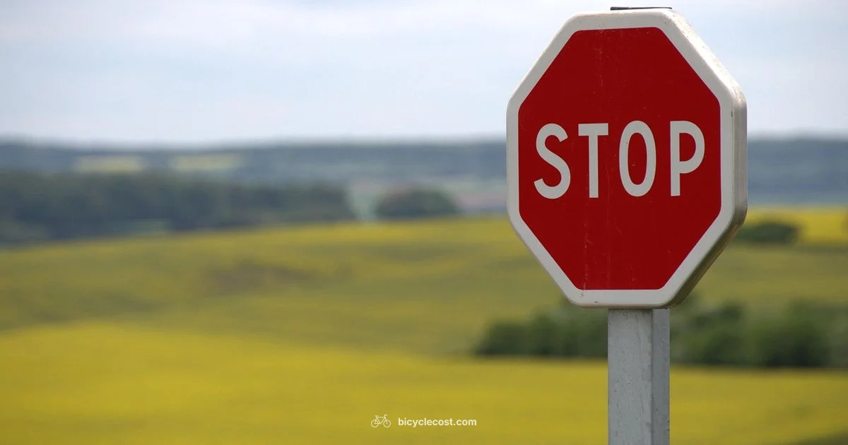 Stop Sign Rules for Cyclists - BicycleCost