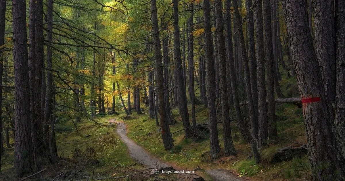 Local Trails Local Trails - BicycleCost