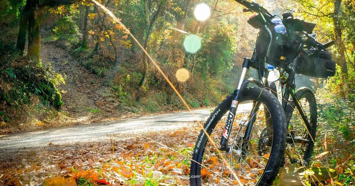 Trek Bike Value - BicycleCost