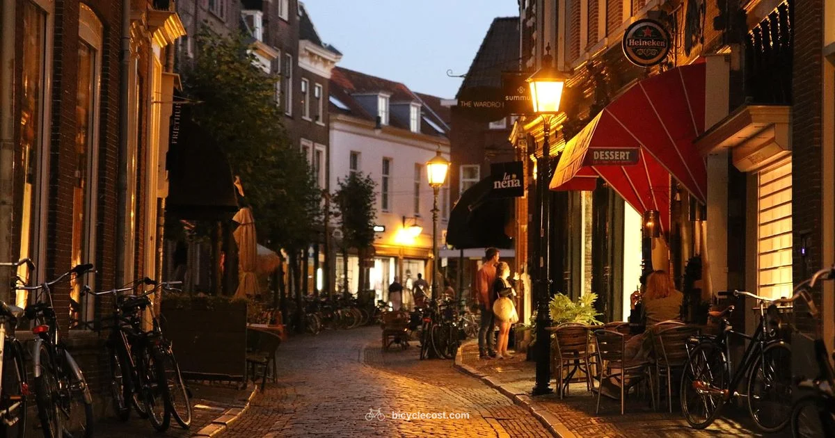 Best Folding Bike Guide - BicycleCost