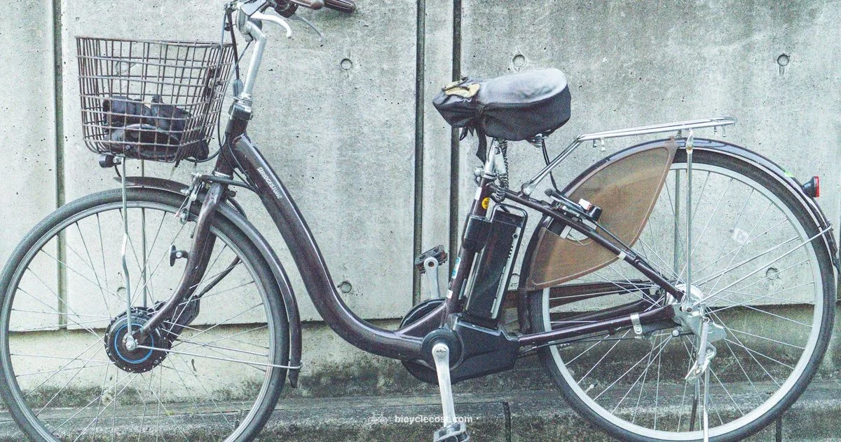 Gas Bike Guide - BicycleCost