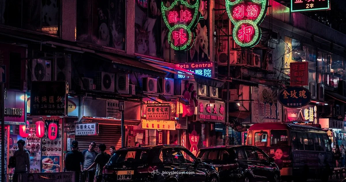 Road Ready E Bike - BicycleCost