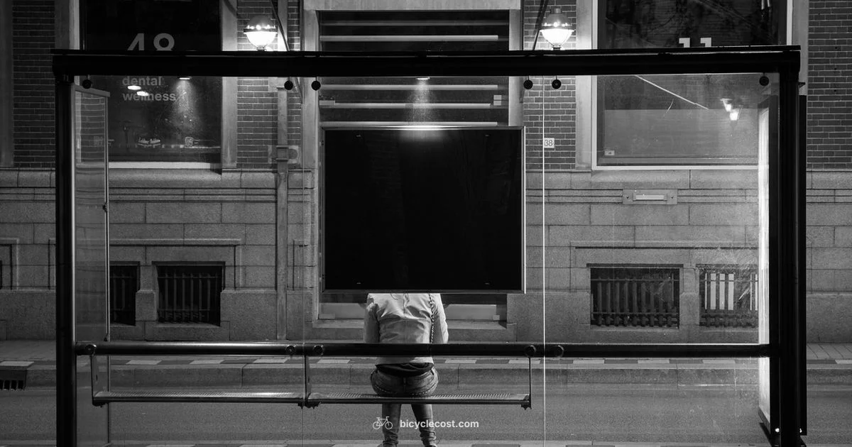 Bike Loading on Bus Bike Loading on Bus - BicycleCost