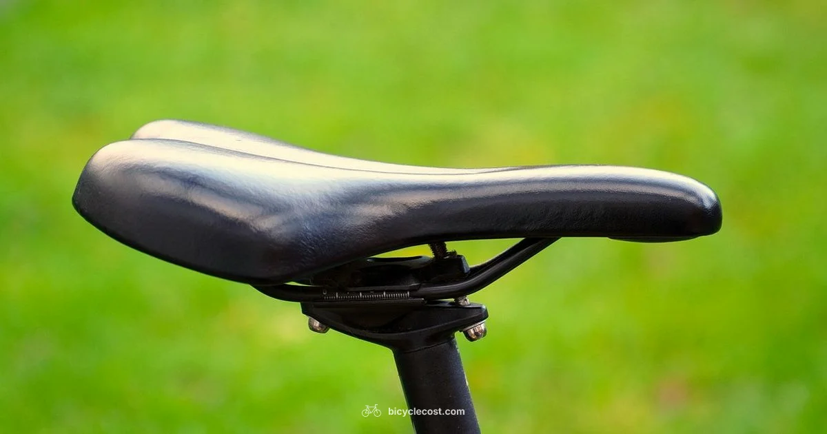 Bicycle Physics - BicycleCost