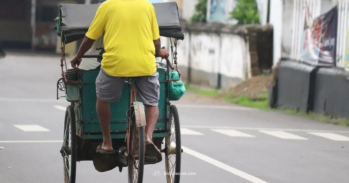 Pedicab Guide - BicycleCost