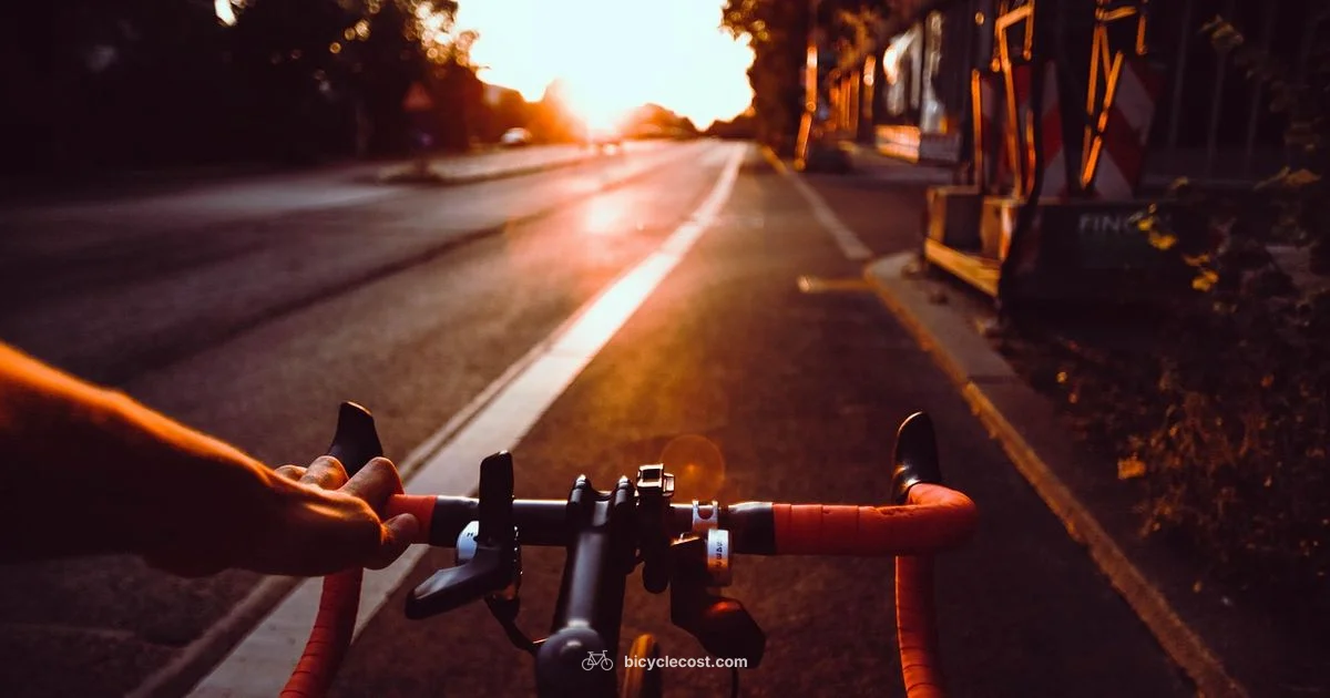 Bike Insurance Guide - BicycleCost