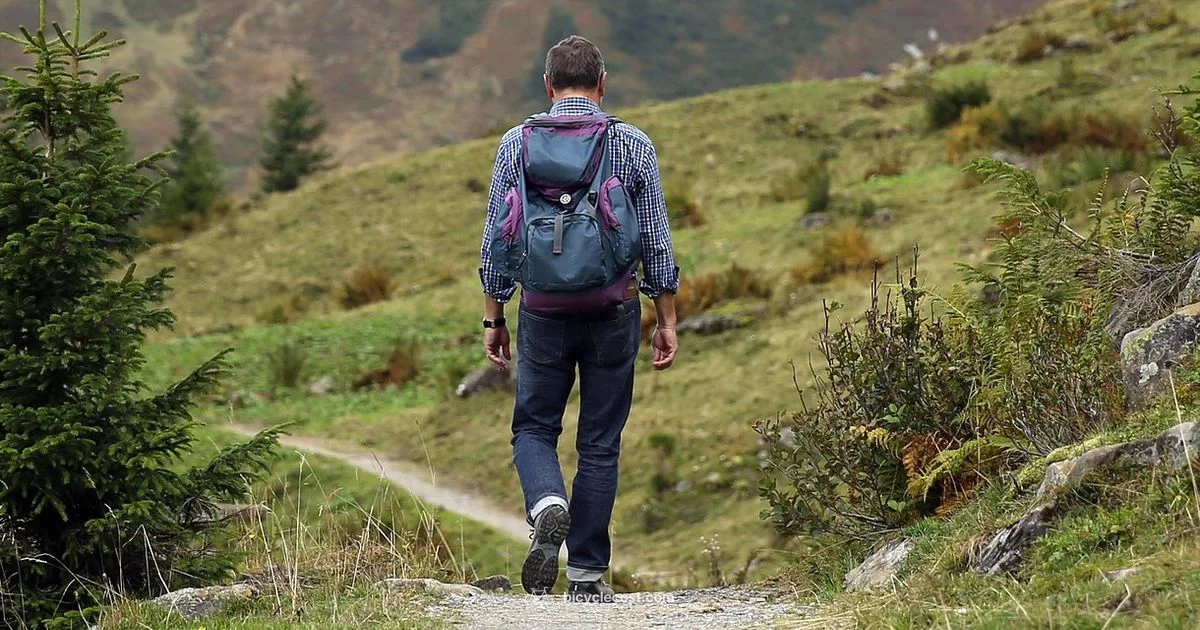 Best Budget MTB - BicycleCost