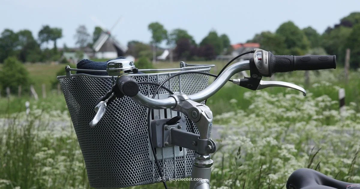 Cycle Bicycle Basics - BicycleCost