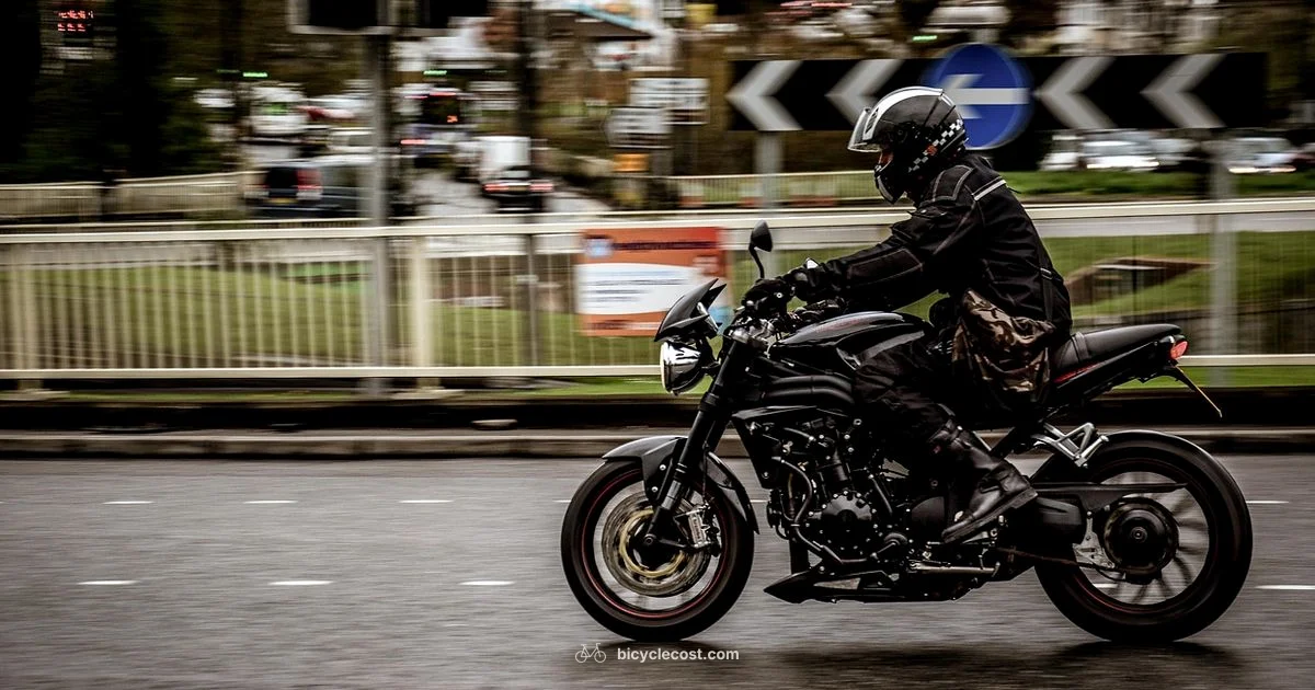 Adult Bike Guide - BicycleCost