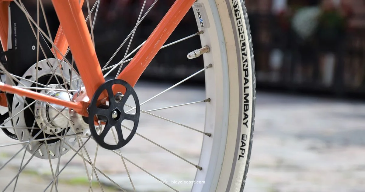 Bicycle vs Tricycle - BicycleCost