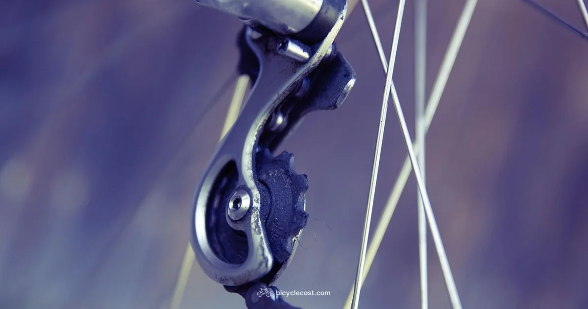 Bike Fit Guide - BicycleCost