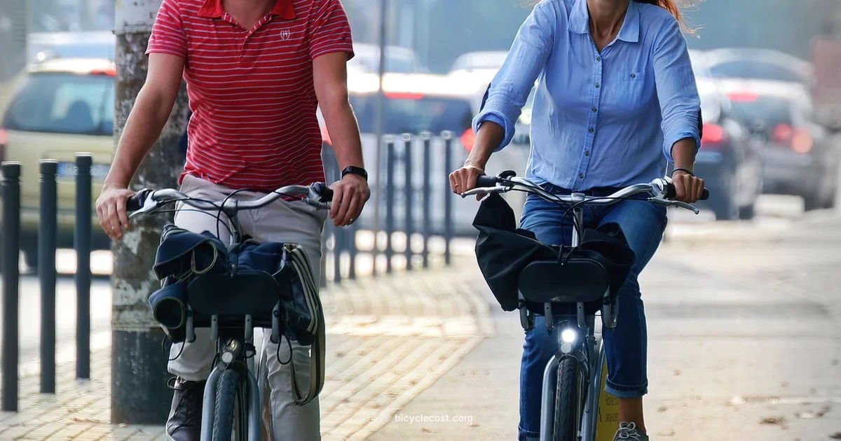 Speedometer Basics - BicycleCost