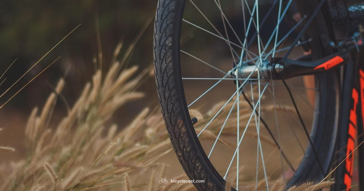 Indoor Cycling Essentials Indoor Cycling Essentials - BicycleCost