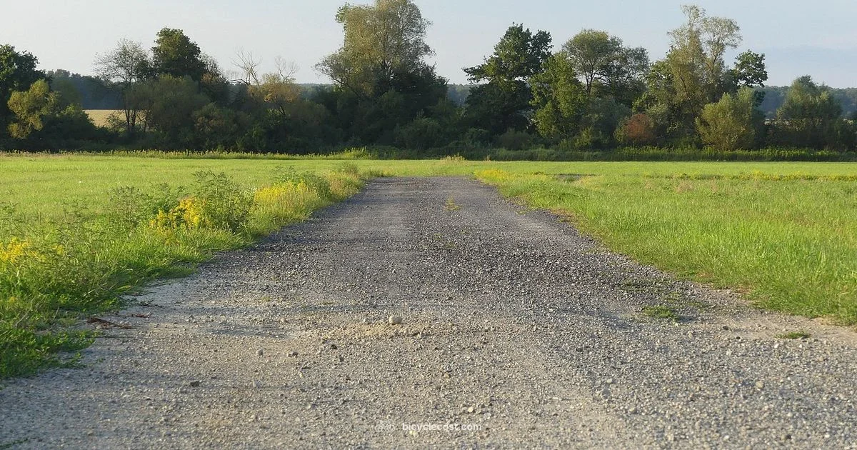 Maxxis Tires MTB Guide - BicycleCost