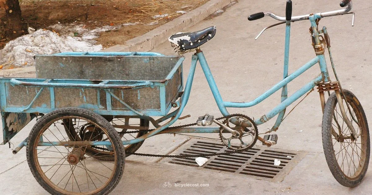 Electric Trike Guide - BicycleCost