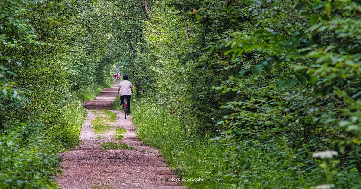 Beginner Cycle Workout - BicycleCost