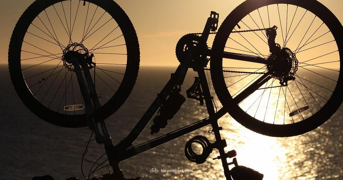 Fat Tire Guide - BicycleCost