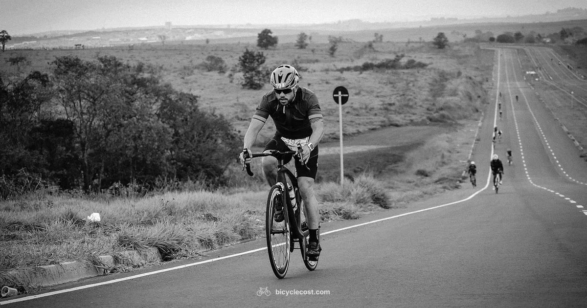 Tri Bike Guide Tri Bike Guide - BicycleCost