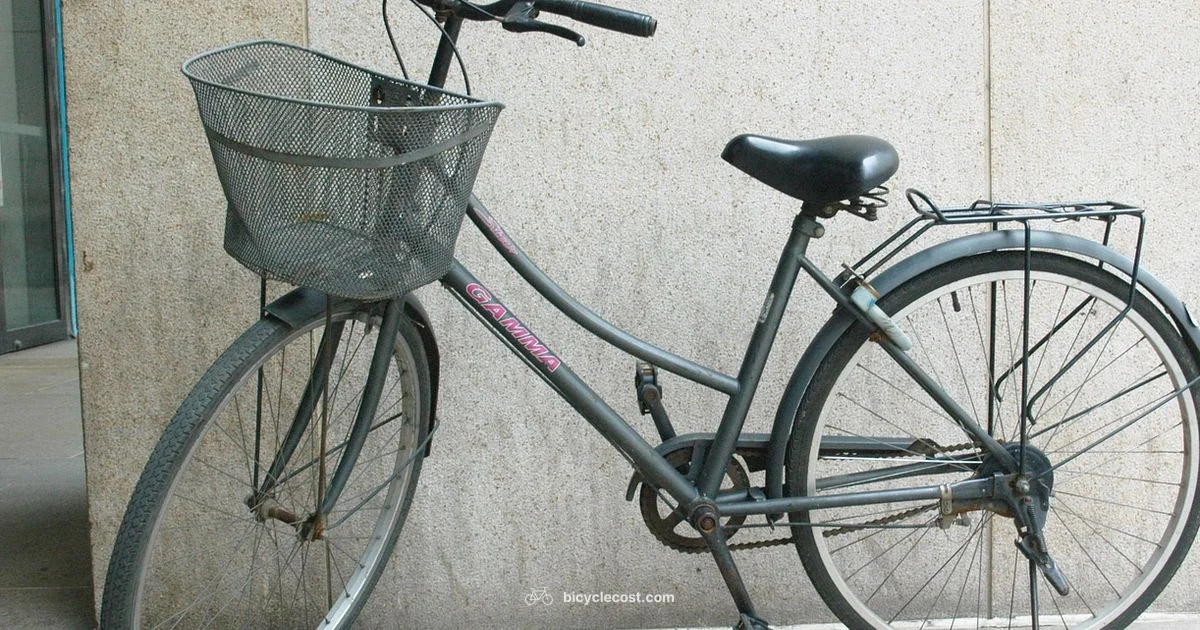 Ladies Bike Guide - BicycleCost