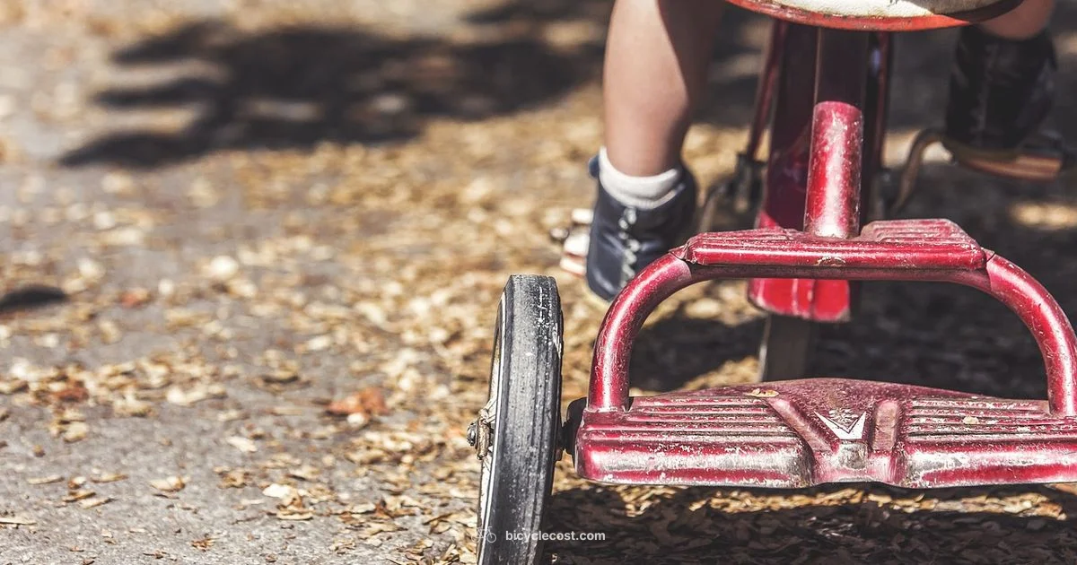 Training Wheels Best Bike - BicycleCost