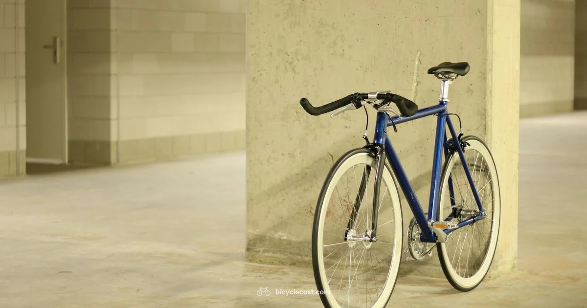 Indoor Cycling Setup - BicycleCost