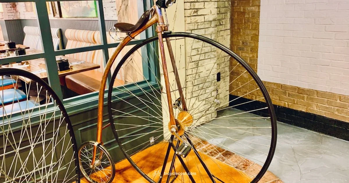 Bicycle Origins - BicycleCost