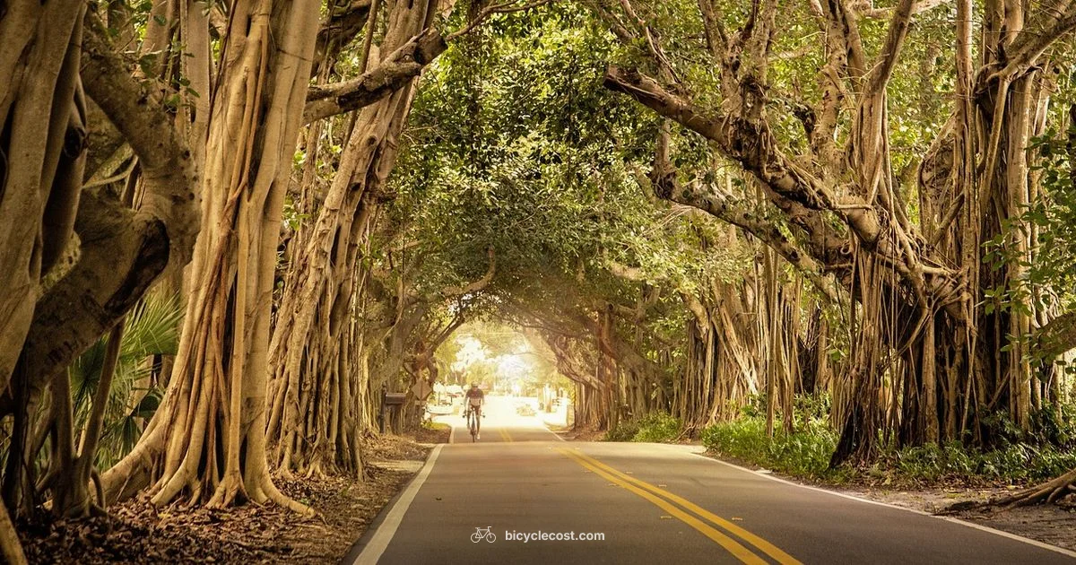 Best Exercise Bike - BicycleCost