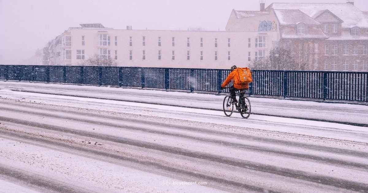 Amazon Bike Picks - BicycleCost