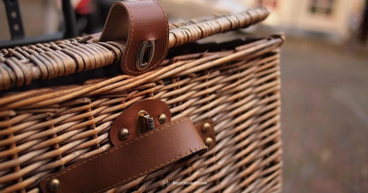 Rat-Proof Your Bike - BicycleCost