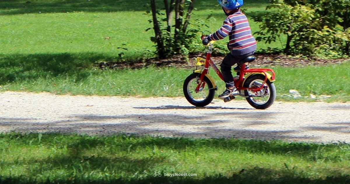 Learning to Ride Without Training Wheels - BicycleCost