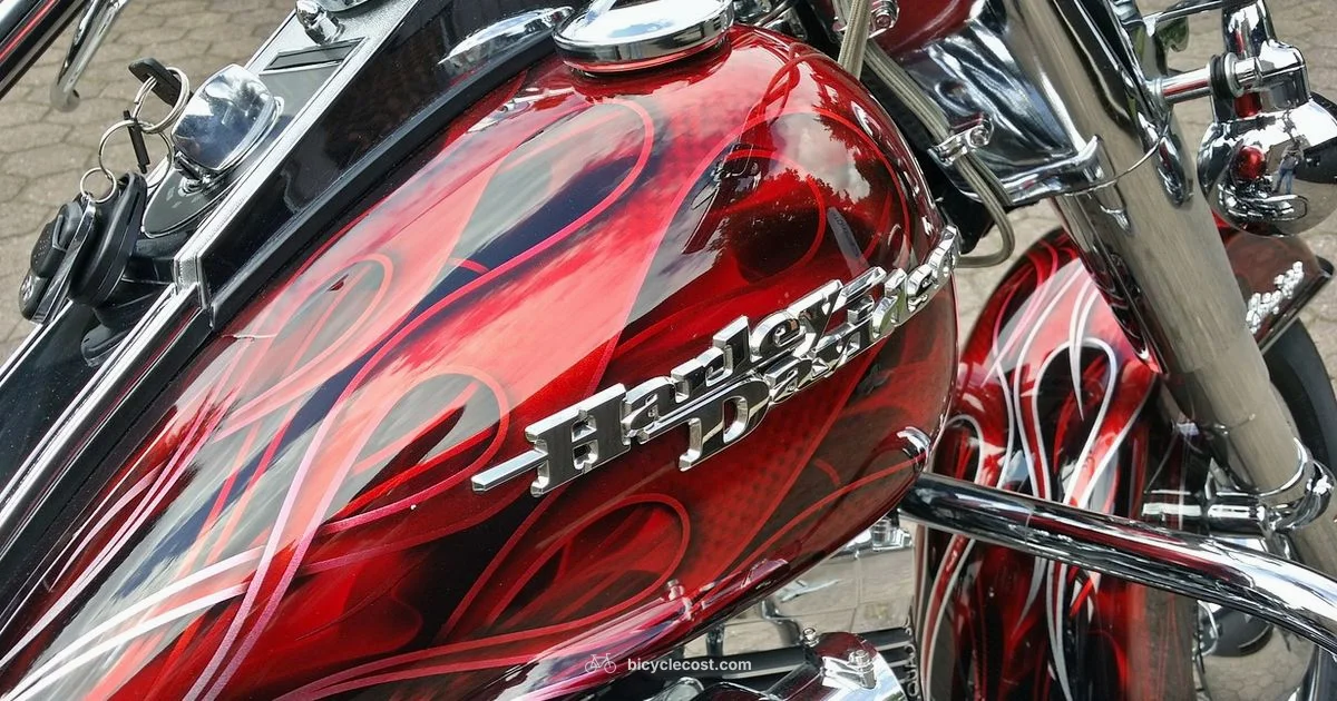 Harley on Wheels - BicycleCost