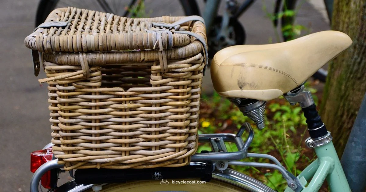 Size Your Bike Right - BicycleCost