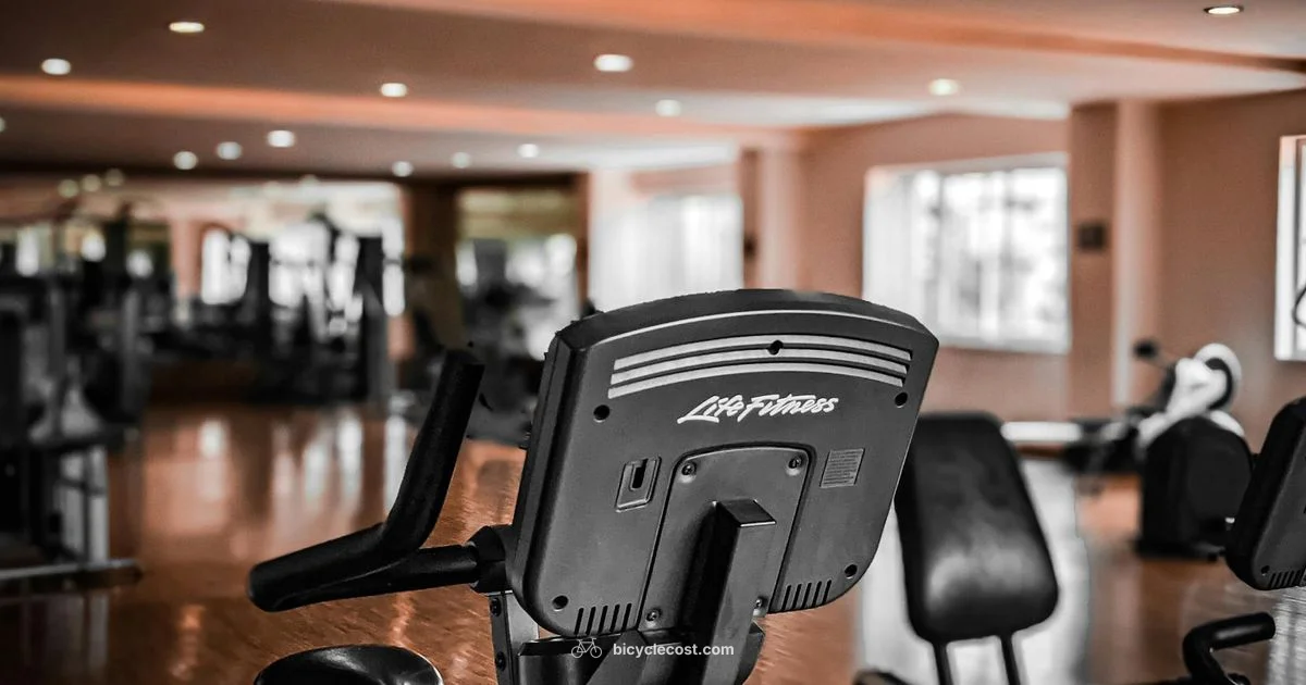 Indoor Cycling Setup - BicycleCost