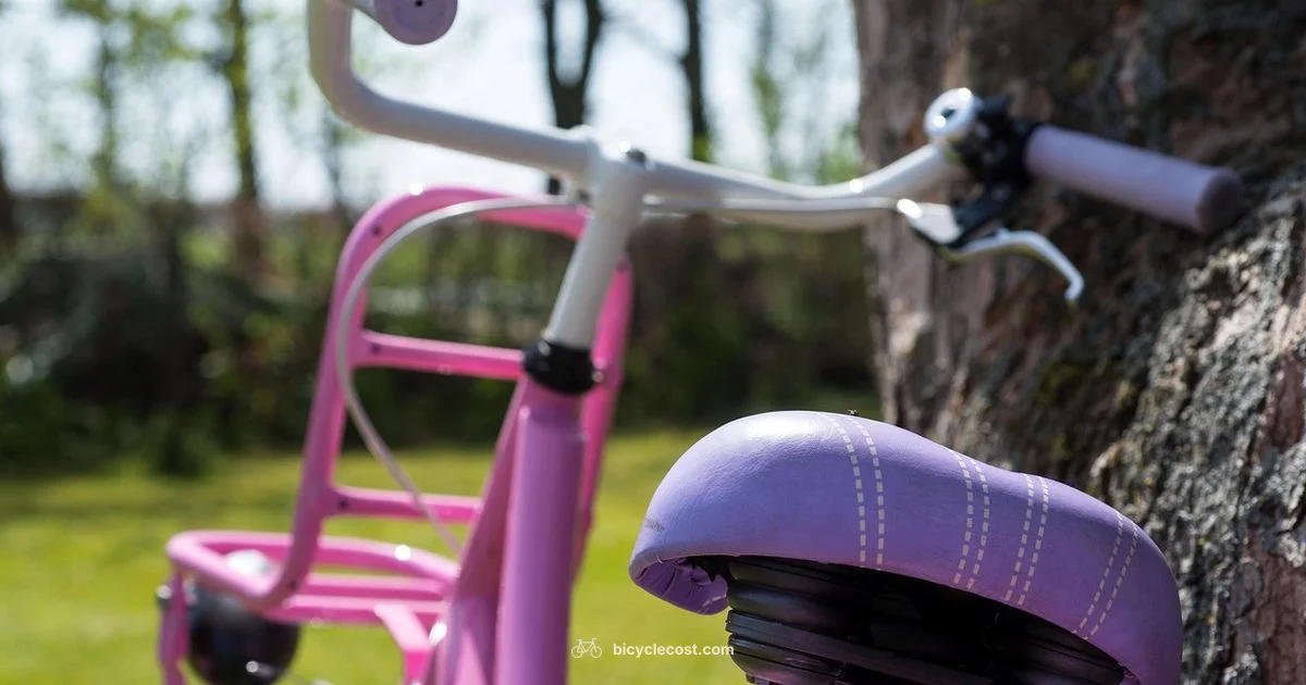 Learn to Ride - BicycleCost