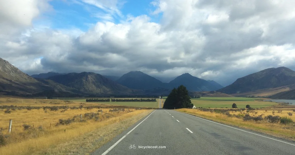 Road Ready MTB - BicycleCost