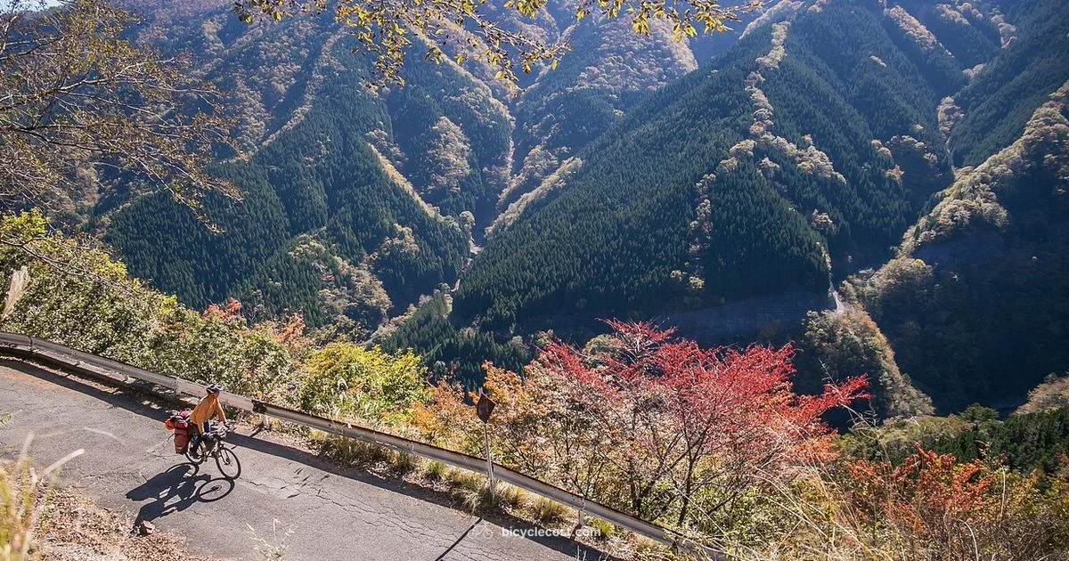 Height and Cycling - BicycleCost