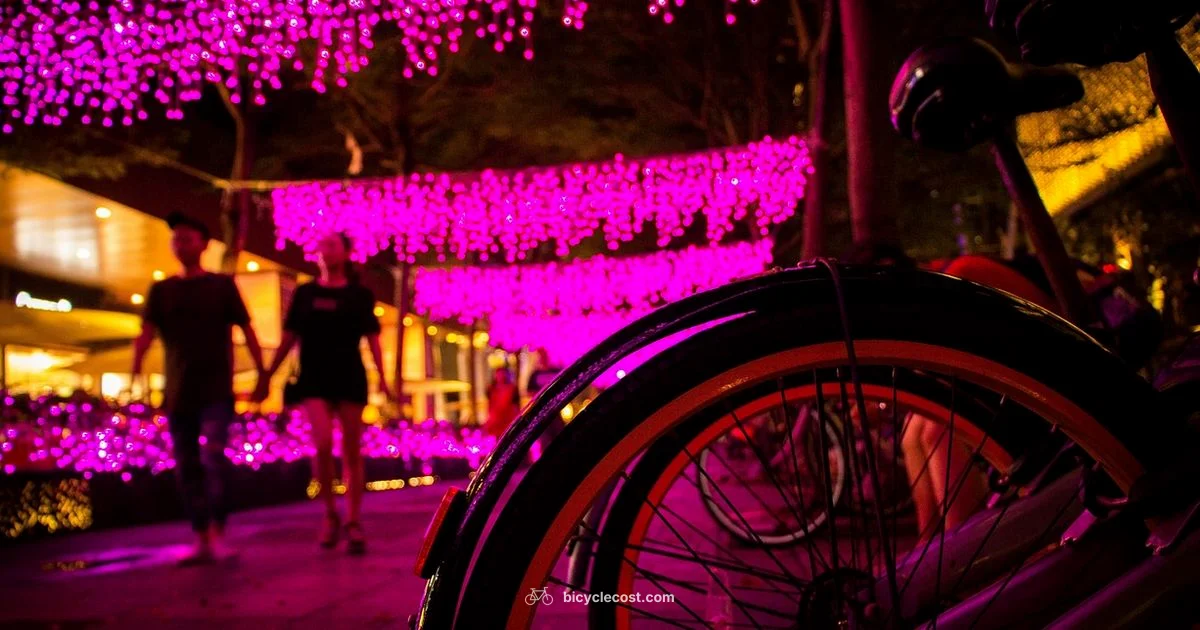 Bicycle Mechanics Unpacked - BicycleCost