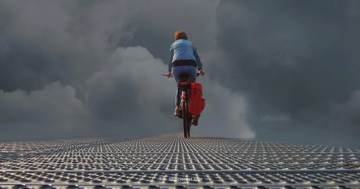 Bike Size Guide - BicycleCost