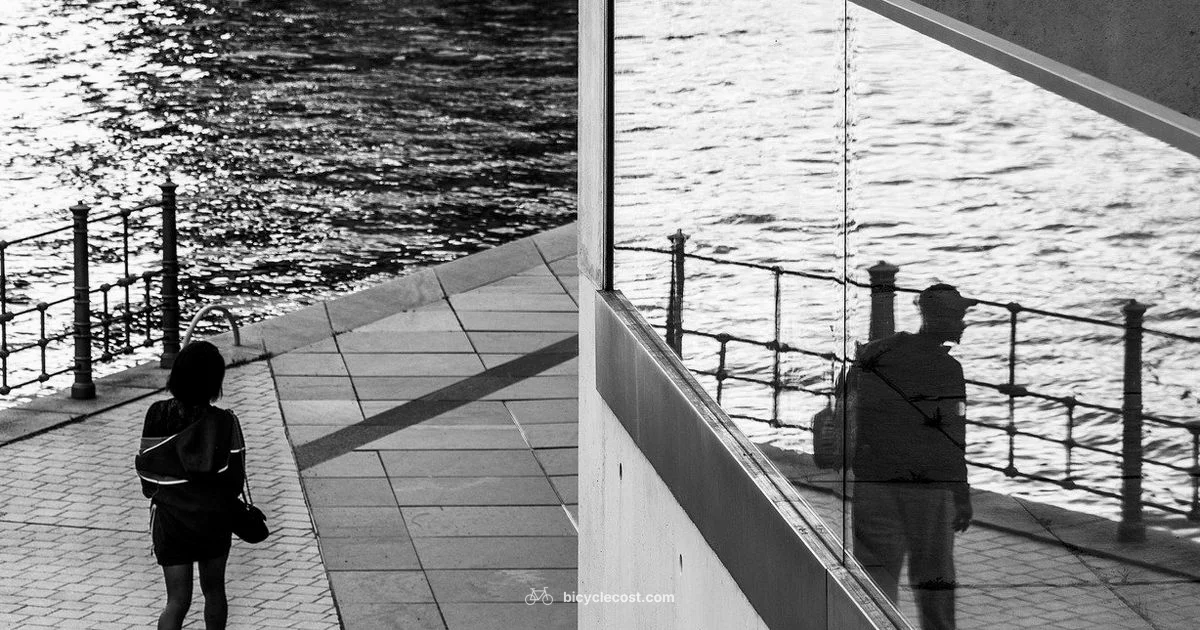 Folding Bike Guide - BicycleCost