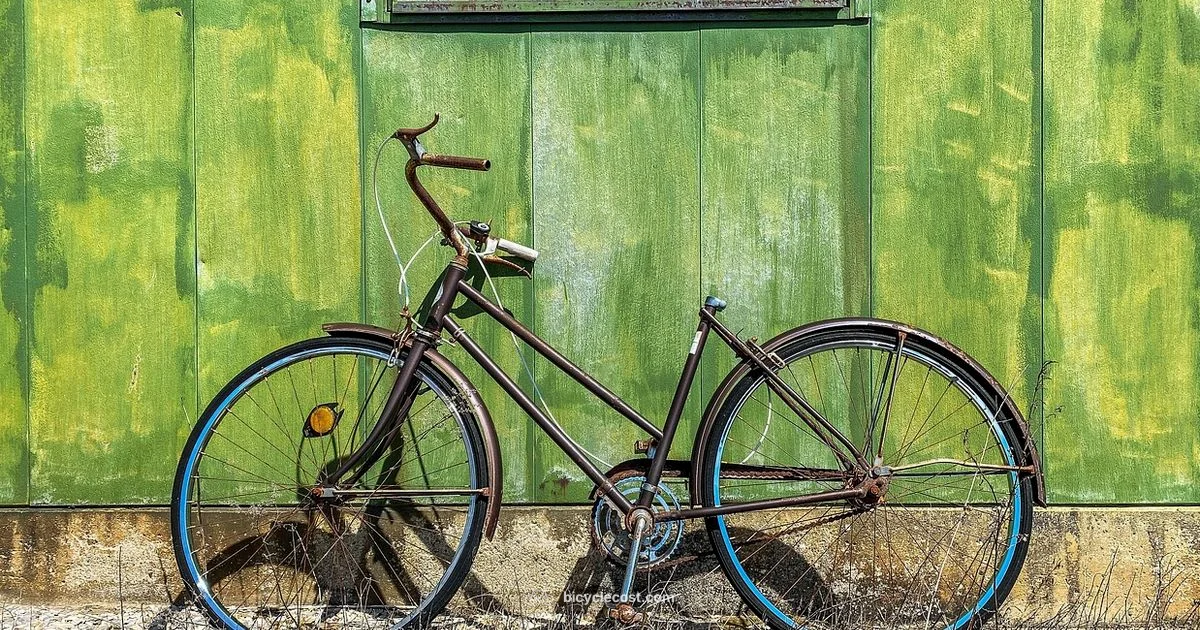 Legendary Bike Guide - BicycleCost