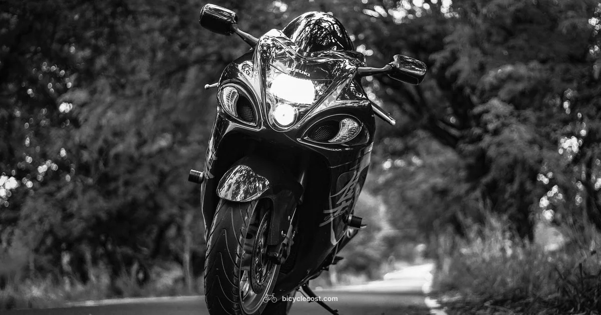 Speed Bike Guide - BicycleCost