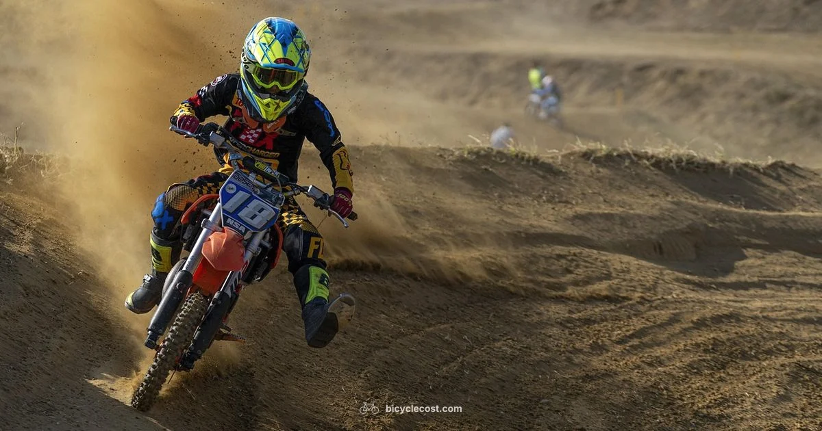 Road vs Hybrid - BicycleCost