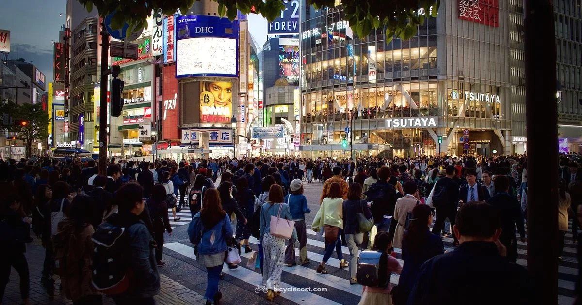 Japan Cycling Guide - BicycleCost