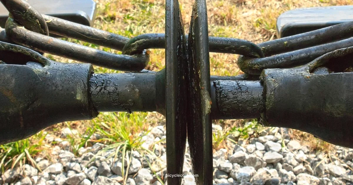 Grease Stain Guide - BicycleCost