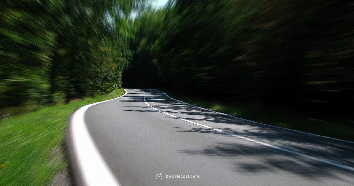 High Speed E-Bike - BicycleCost