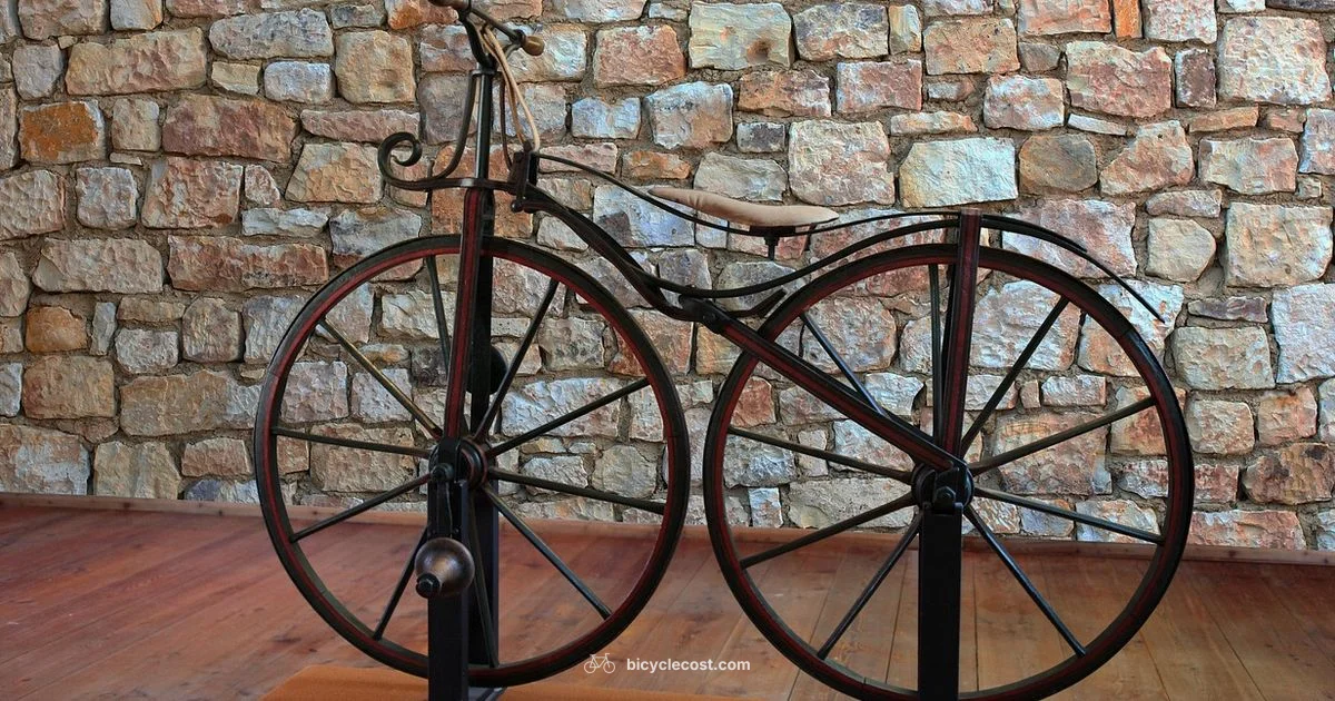 Origins of the Bicycle - BicycleCost