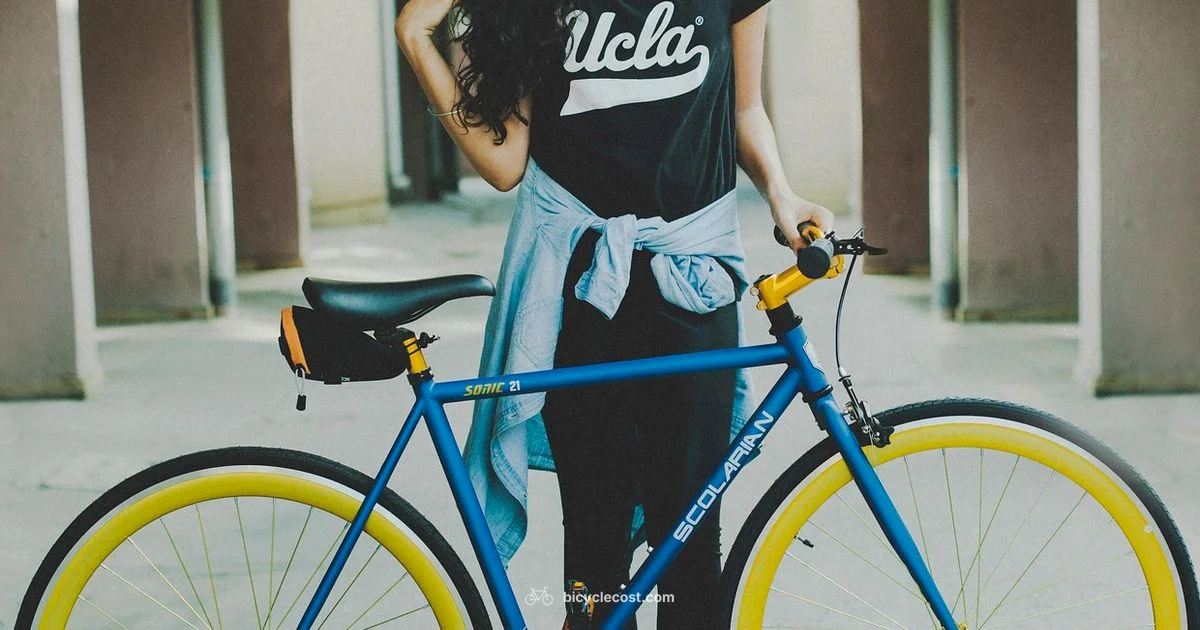 Chain Lubrication Basics - BicycleCost