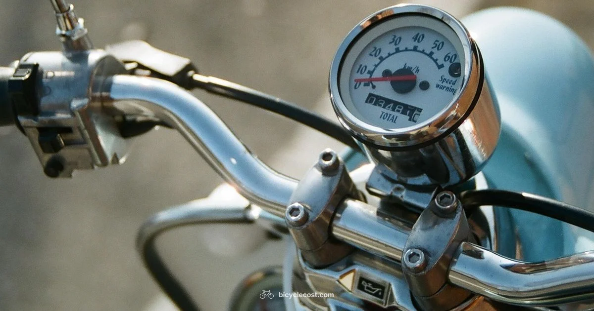 Bicycle vs Scooter - BicycleCost